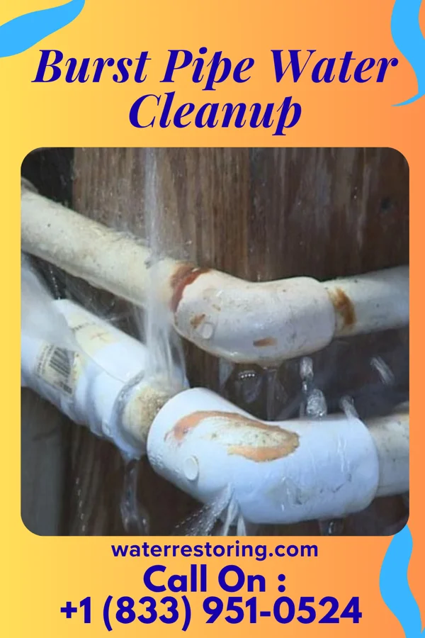 Burst Pipe Water Cleanup in Plandome Heights, NY