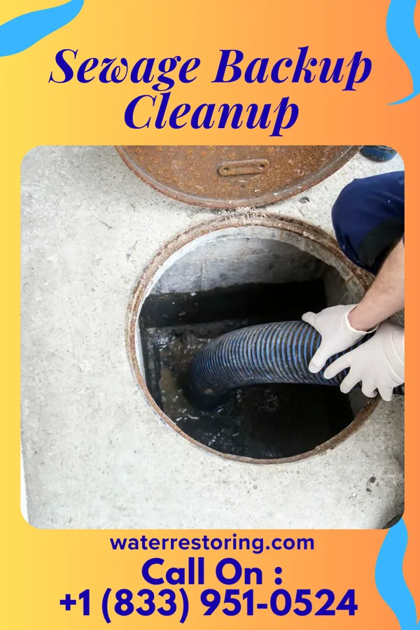 Sewage Backup Cleanup in Plandome Heights, NY